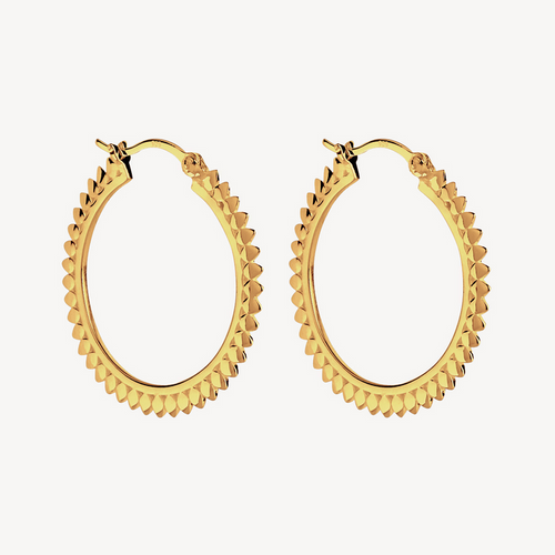 Radiance Hoop 14K Yellow Gold Plate Earring - Najo - Mandi at Home