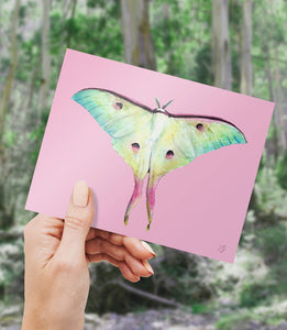 Moon Moth Paddlepop Card - Mandi at Home