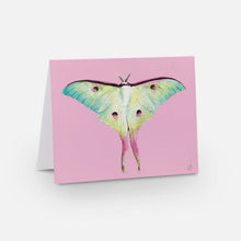 Load image into Gallery viewer, Moon Moth Paddlepop - Romona Sandon - Mandi at Home