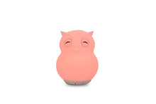 Load image into Gallery viewer, Duski Rechargeable Bluetooth Night Light - Owl - Mandi at Home